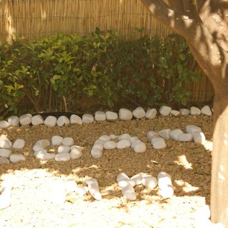 Vegan Inn Airport - Adults Only - Late Check In Fiumicino Exterior photo