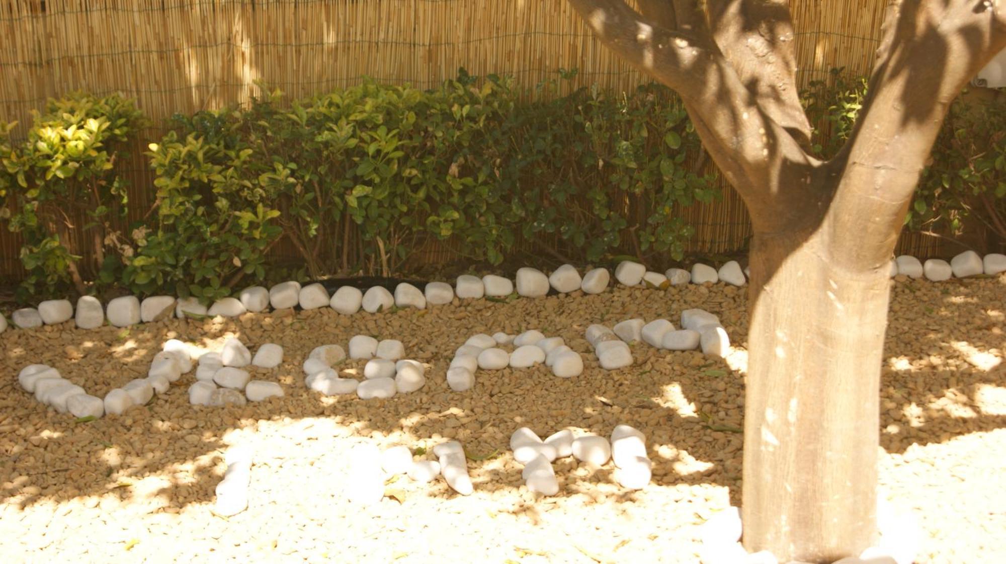 Vegan Inn Airport - Adults Only - Late Check In Fiumicino Exterior photo